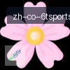 6T体育 logo